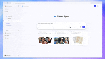Microsoft GIF