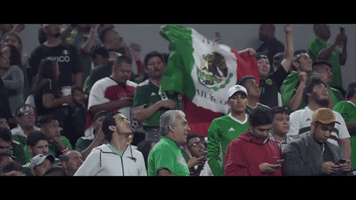200.gif?cid=fc005b088fa105d4d64917c23f5ad34340a063c49294ca23&rid=200.gif&ct=g