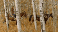 horseback riding fall GIF by Hallmark Channel