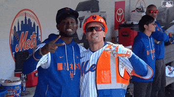 Celebrate Home Run GIF by New York Mets
