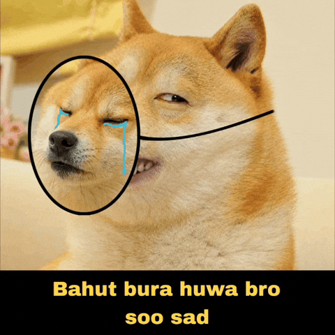 Dog Smile GIF