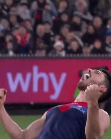 Melbourne Football Club Demons GIF by Melbournefc