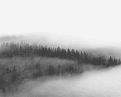 mist GIF