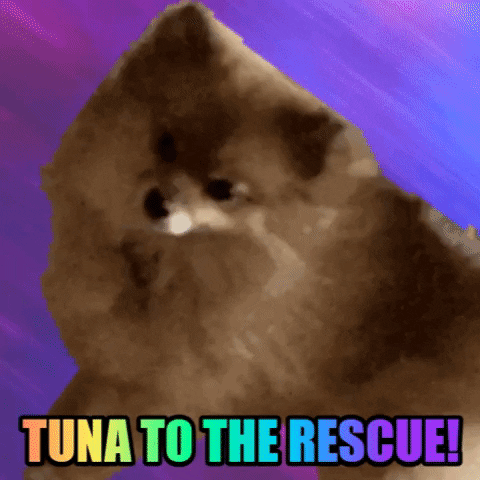 Dog Tuna GIF by Justin