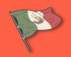 World Cup Mexico GIF by Homme Jaune
