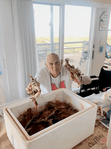 Blue Crabs Seafood GIF by The Crab Place