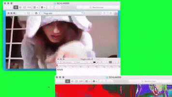 Glitch Internet GIF by systaime