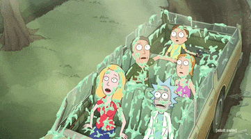 Season 5 GIF by Rick and Morty