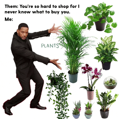 Plant Babies!