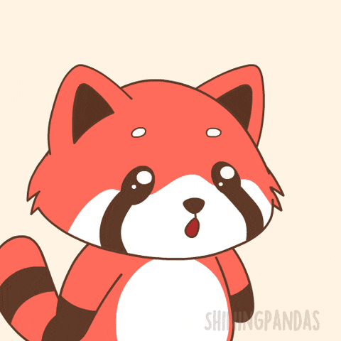 Red Panda Crown GIF
