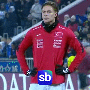 Alkış Millitakim GIF by Sporbulteni
