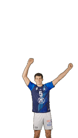 Deutschland Sticker by Volleyball Bundesliga