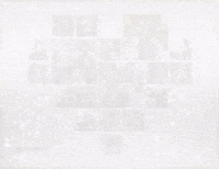 BTWF HOLIDAY CARD 2024 GIF FINAL