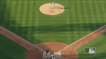 Ny Mets Catch GIF by New York Mets