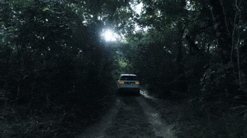 LandRover forest discovery surfer woods GIF