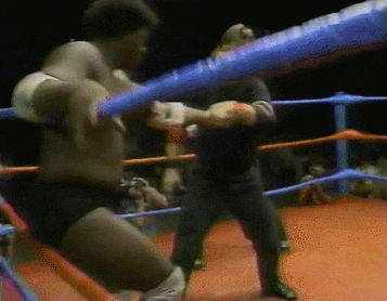 Wwe GIF