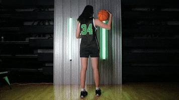 Basketball GIF by RiverHawk Sports
