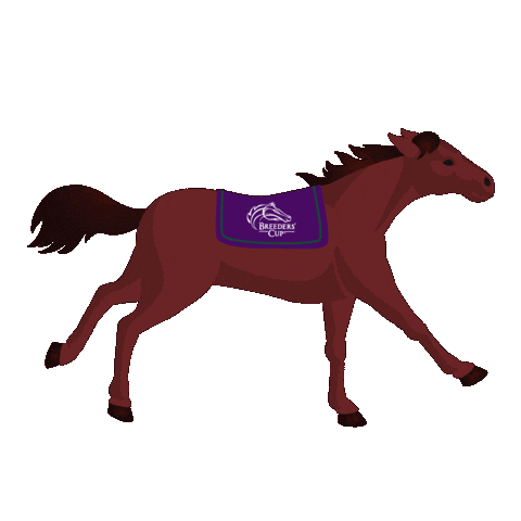Horse Racing Running Sticker by Breeders' Cup World Championships