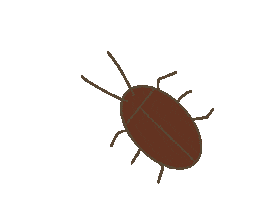 G Insect Sticker