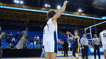 High Five Uc Irvine GIF by UCI Athletics