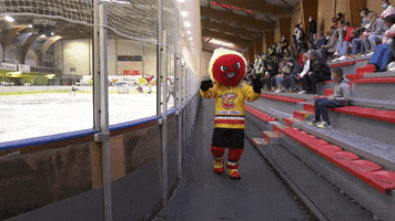 meudonhockeyclub dance hockey danse mascotte GIF