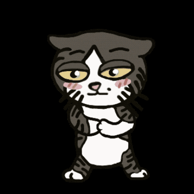 Cat GIF