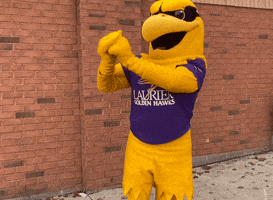 Mascot Staygolden GIF by Wilfrid Laurier University