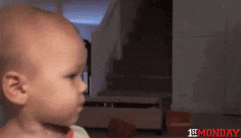 200.gif?cid=fc005b08569c56348387a4d99a6f59a667a7b081944781a8&rid=200.gif&ct=g