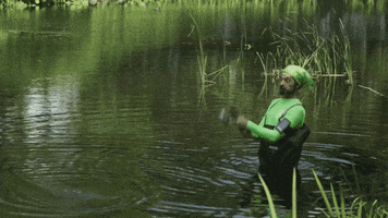 internet GIF