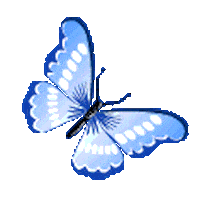 animated flying butterfly gif
