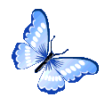 giphy.gif?cid=790b7611d14c1becc88dd676f7794d5eaf8732b7fe68b481&rid=giphy.gif&ct=s