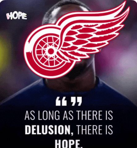 Red Wings Nhl GIF