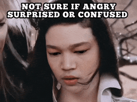 Angry What The Hell GIF