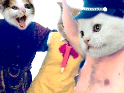 Cat Party GIF by Tara