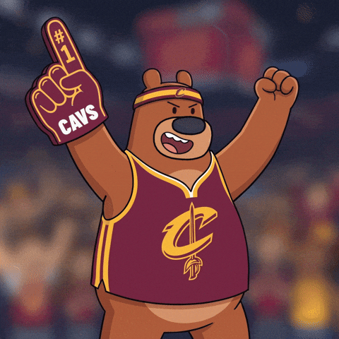Finals Cavs GIF by My Neighbor Alice