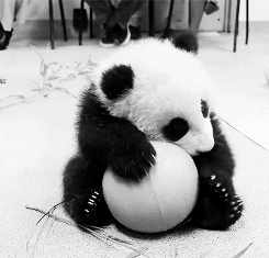 ball