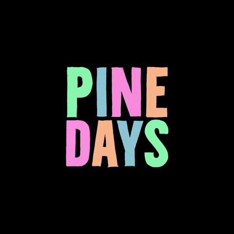 PineBeachBelek day days pine pinebeachbelek GIF