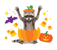 Jack O Lantern Halloween Sticker by Schoolgirl Style Classroom Decor