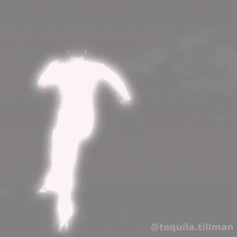 Van Netherlands GIF