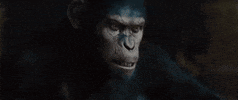 dawn of the planet of the apes no GIF