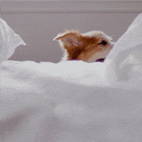 200.gif?cid=f0bdee70028l2micmol6krwbr4etxujmv6ler6ue08kve1xg&rid=200.gif&ct=g