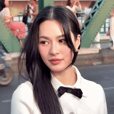 Thailand Dior GIF