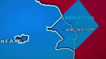 Vote2020 GIF