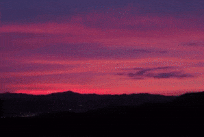 Genie Sj GIF