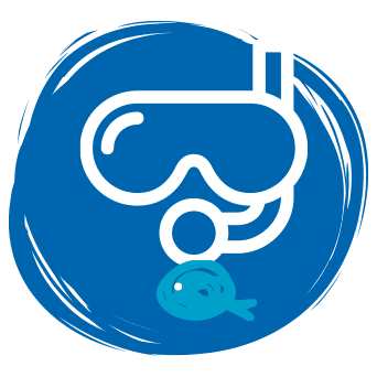 Sea Photo Sticker by SSDF Svenska Sportdykarförbundet