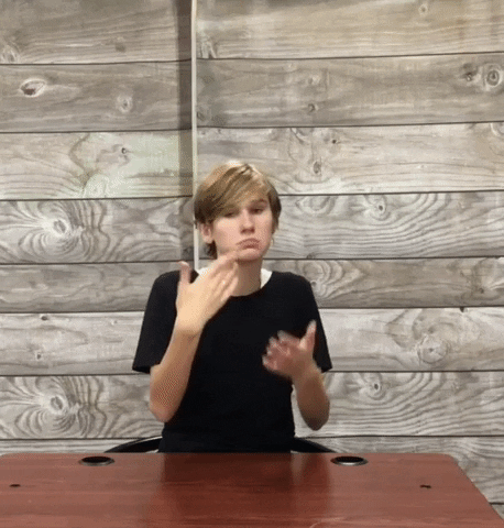 Sign Language Whatever GIF by CSDRMS