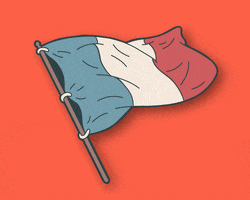 France Flag GIF by LASFAR
