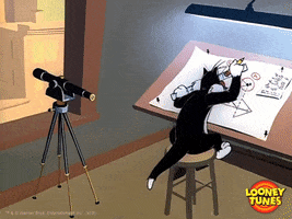 Cat Working GIF by Looney Tunes
