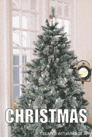 christmas winter GIF by vimage app