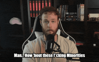 Immigration Minorities GIF
